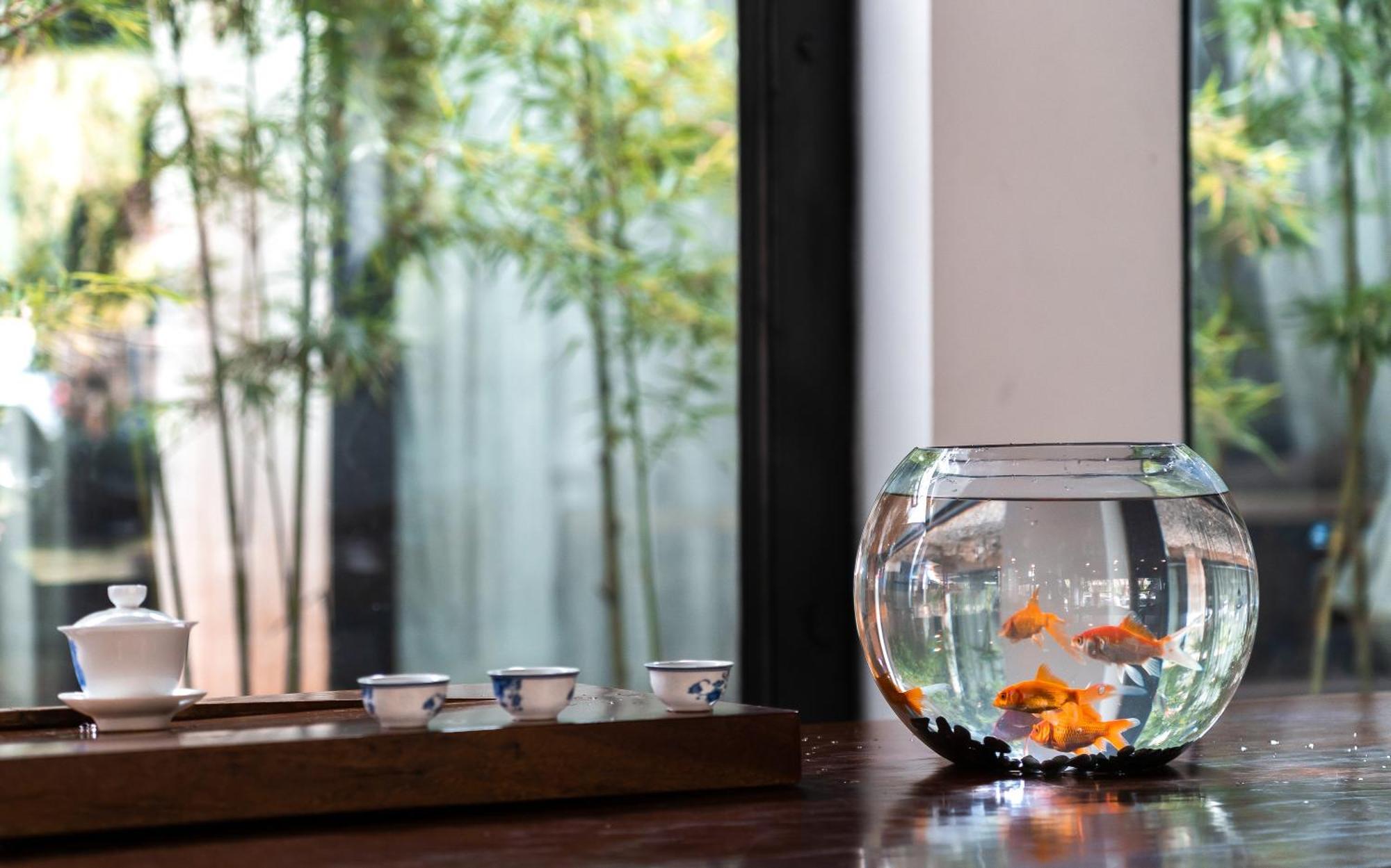 Lijiang Gemmer Hotel Экстерьер фото